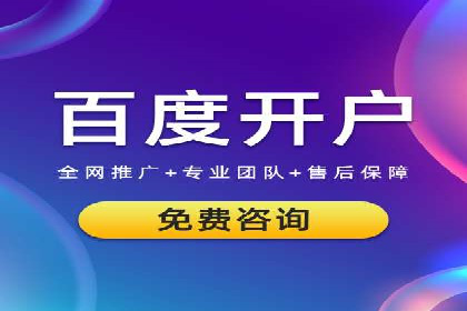 电商SEM推广案例解析